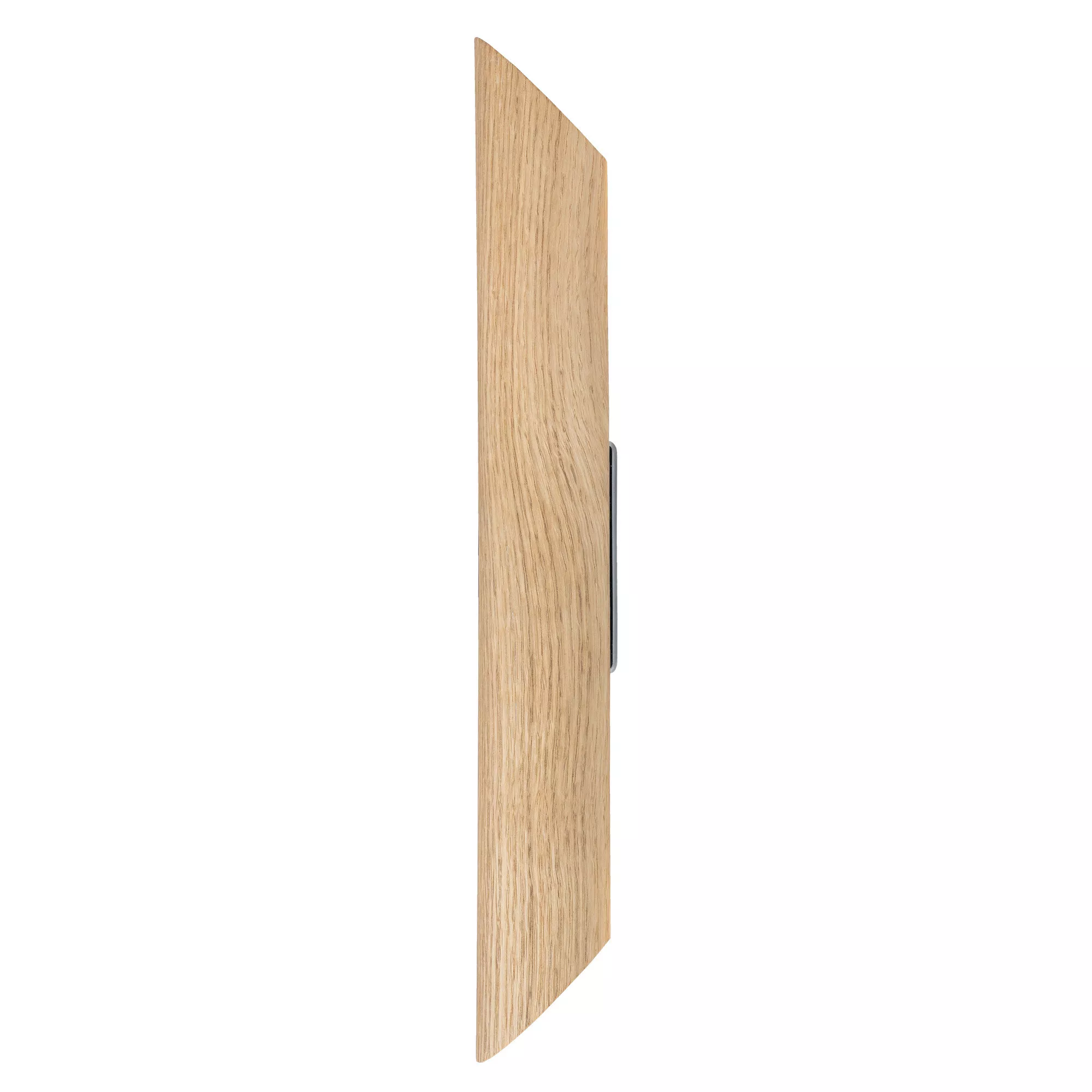 Wall light Colombia 50/8/9 cm