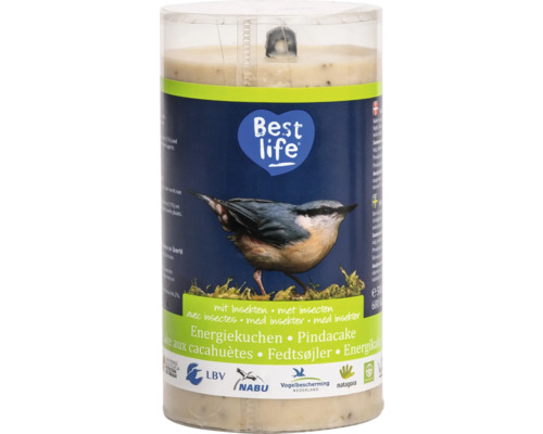 Hornbach Wild bird food CJ Wildlife energy cake with insects 500 g all-season bird food