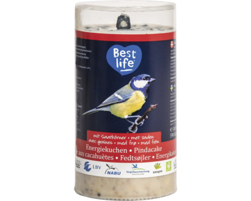 Hornbach Wild bird food CJ Wildlife energy cake with seeds 500 g all-season bird food