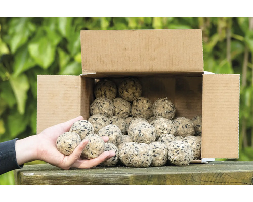 Hornbach Wild bird food CJ Wildlife Premium fat balls, 50 pieces. All-season bird food