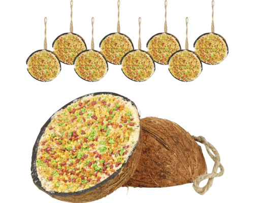 dobar Vitamin wild bird food - coconut halves filled for wild birds, 10 pieces, approx. 200 g each