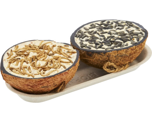 Hornbach Wild bird food half coconuts 400g