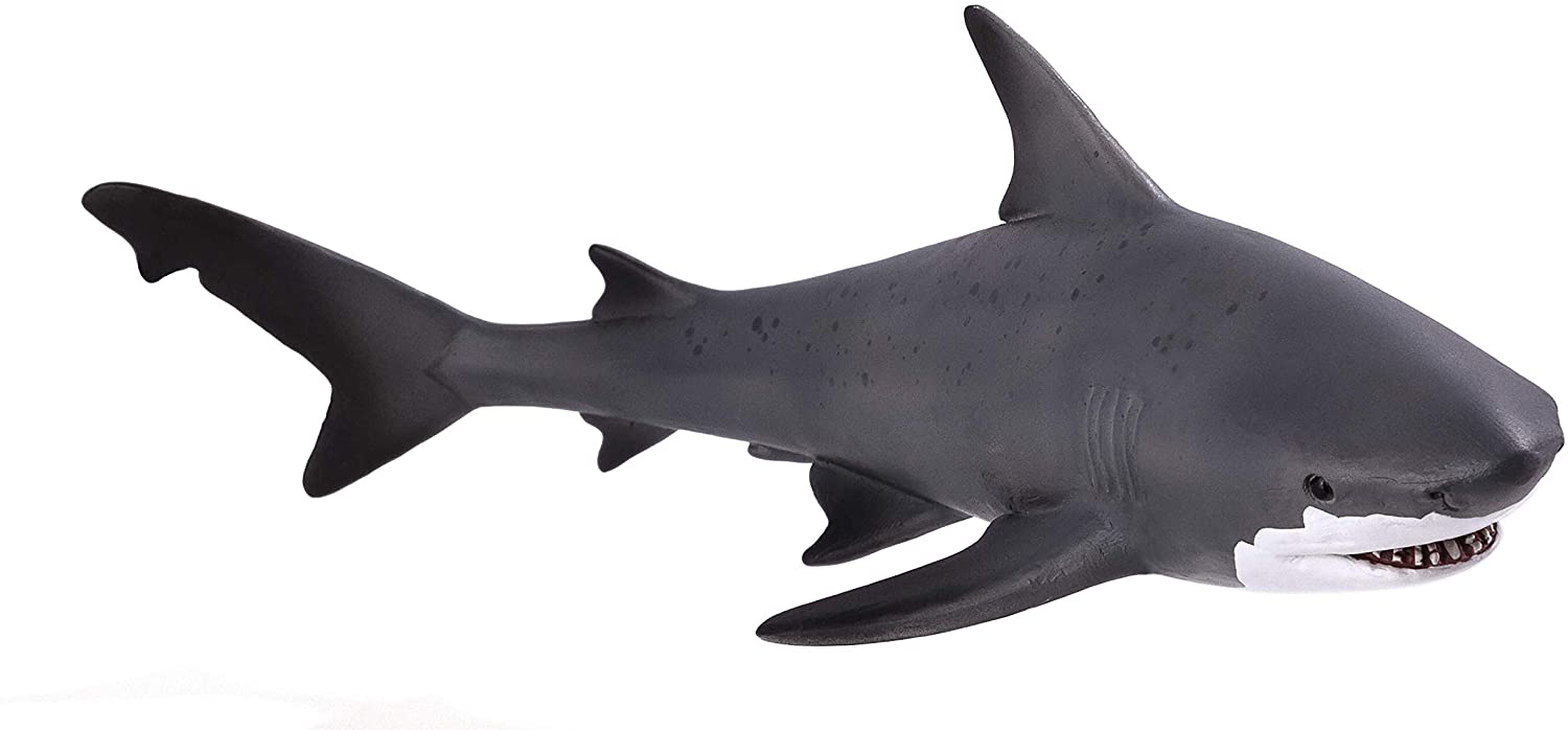 Mojo Bull Shark