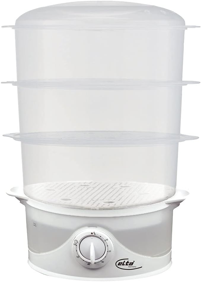 Electric steamer
