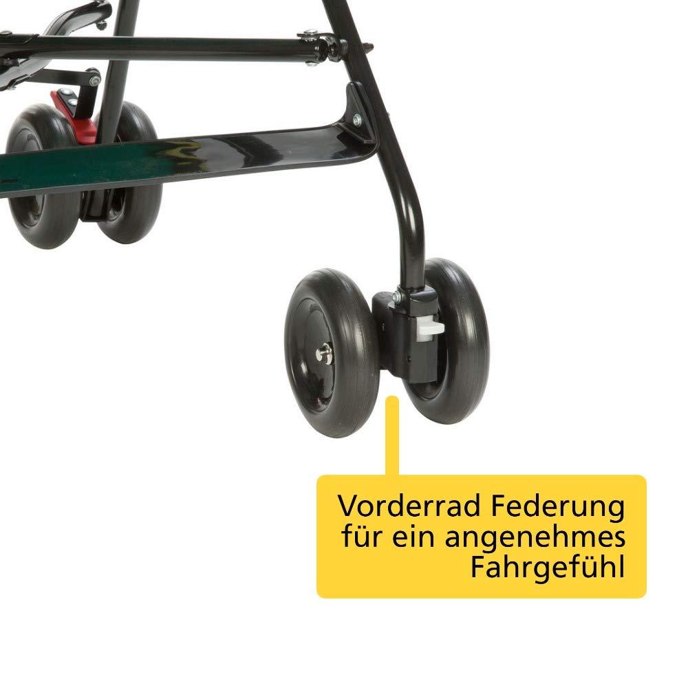 Safety 1st Peps Buggy Manoeuvrable Pushchair with Sun Canopy, Can be Used From 6 Months, up to Max. 15 kg, Compact when Folded, Weighs only 4.5 kg, Black Chic (Black)