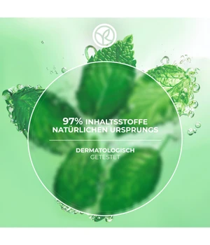 Yves Rocher Pure Menthe Clarifying Scrub