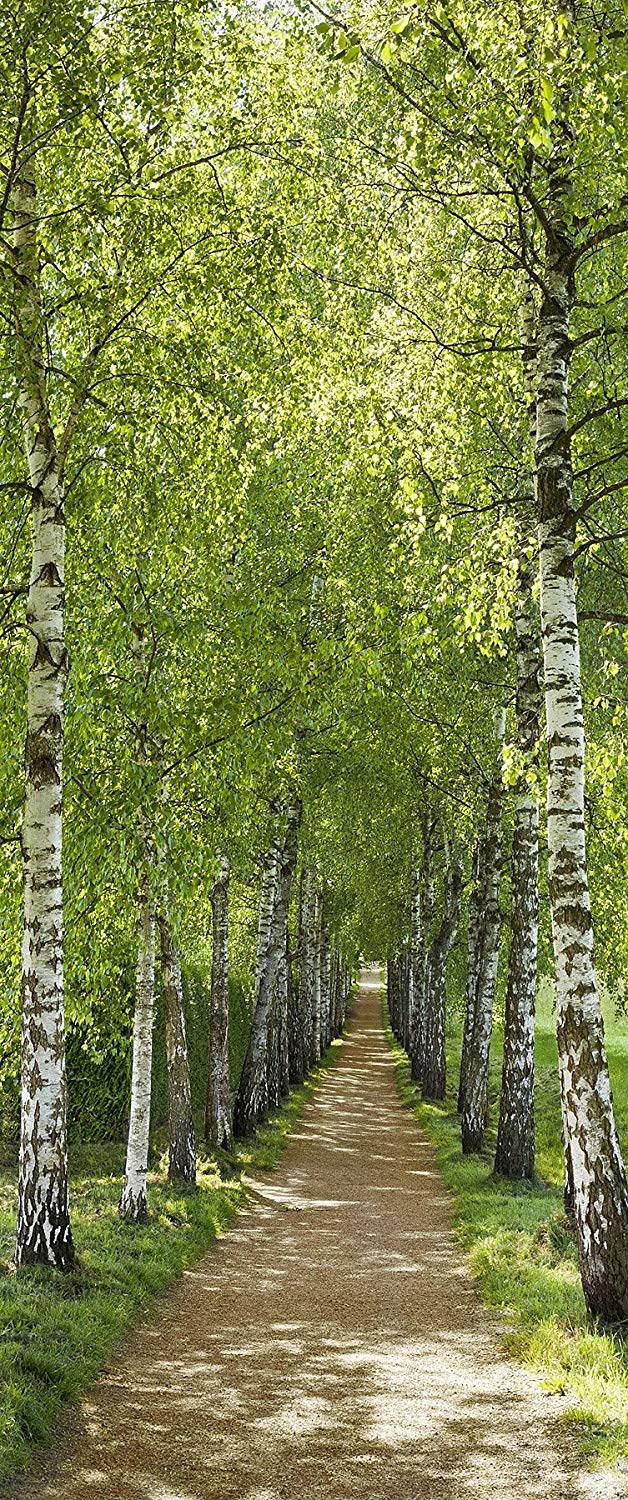 Komar Mural - Birchavenue