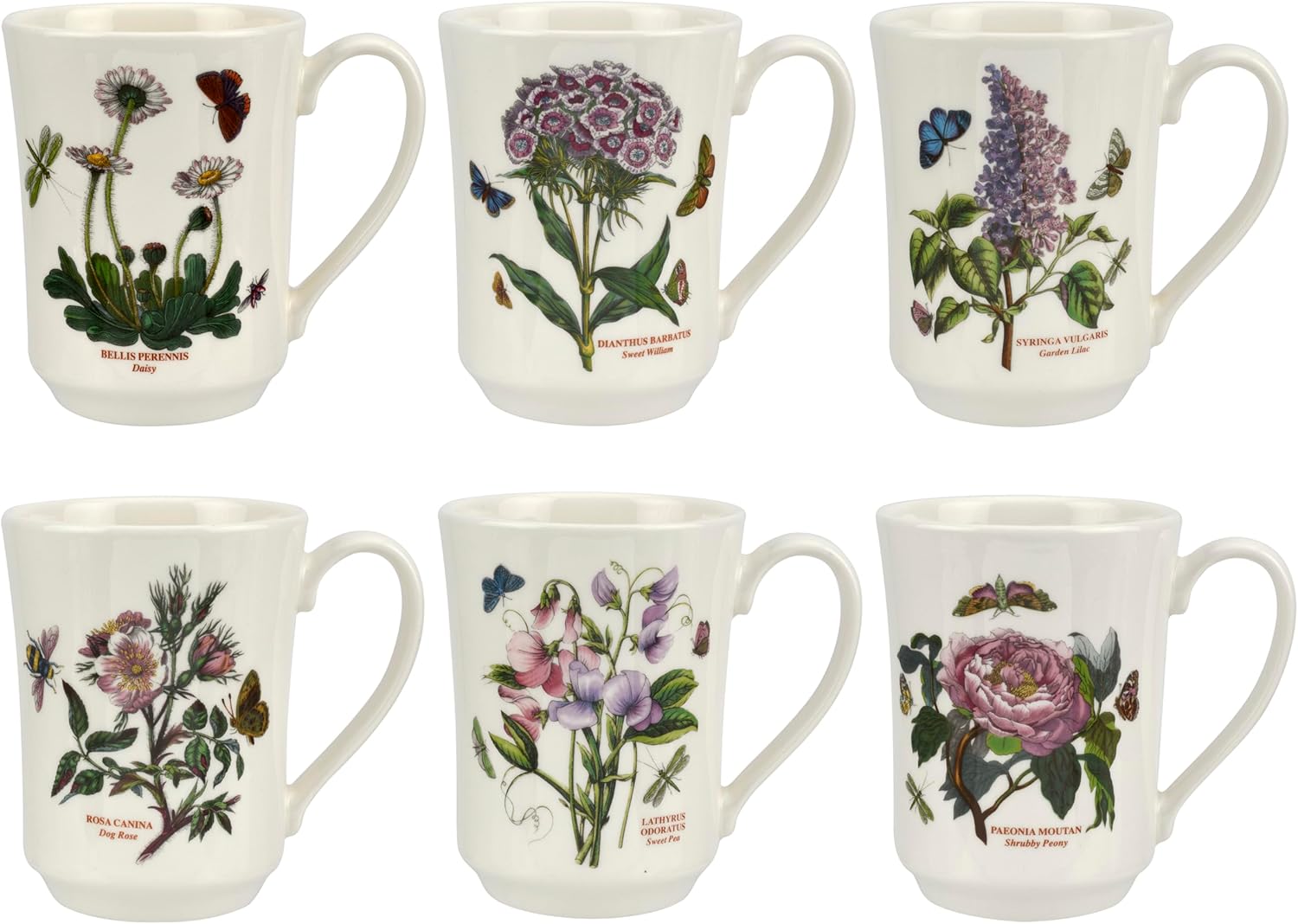 Portmeirion Botanic Garden Flared Tankards - Set of 6